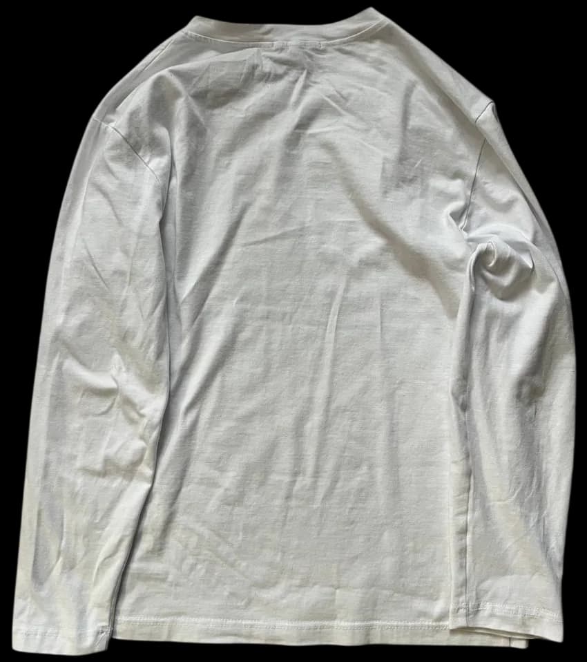 ЛОНГСЛИВ Swan